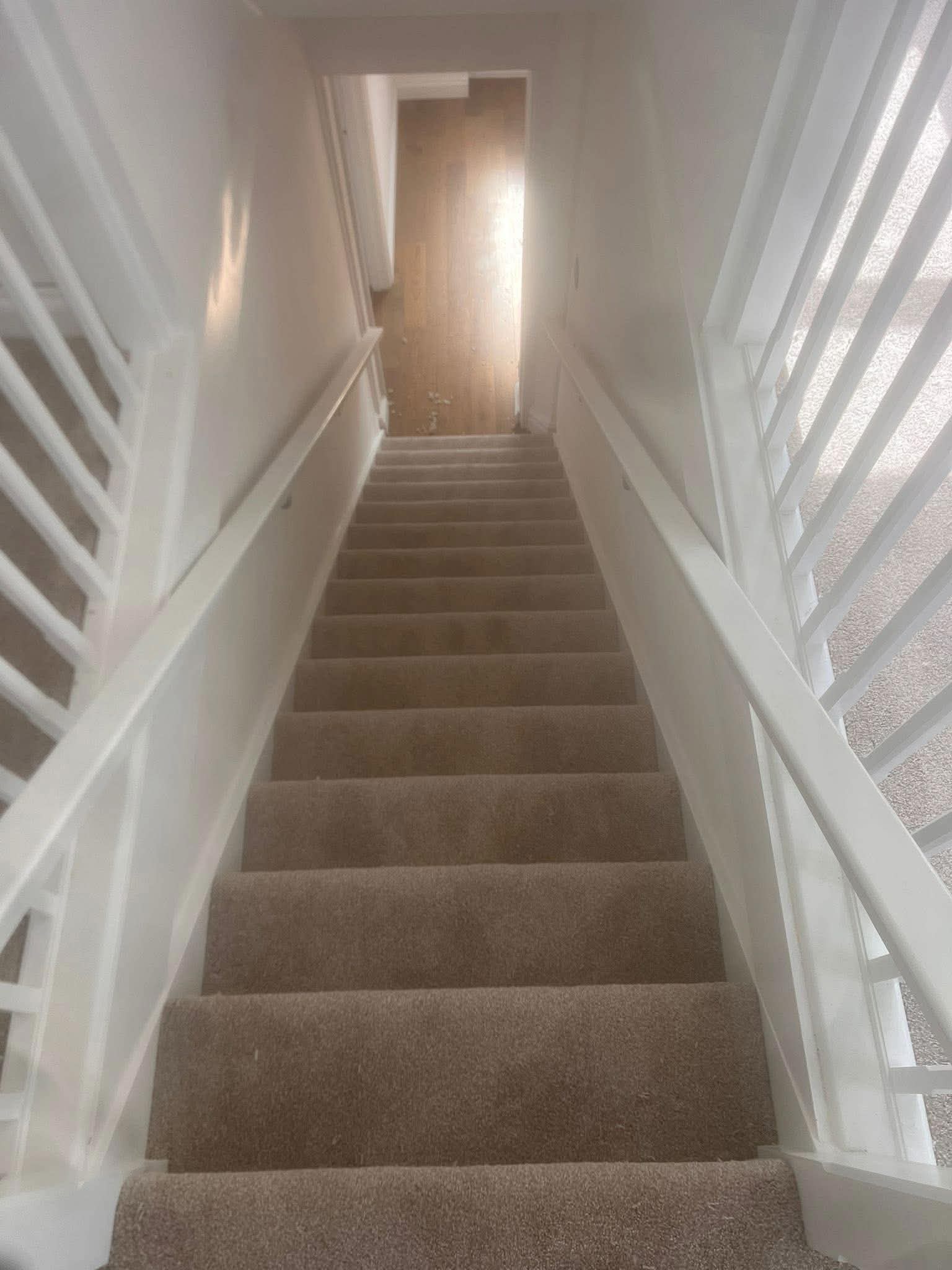 Fresh Modern Carpet Installation
